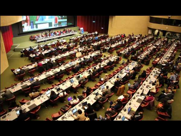 WWF: Governments make limited progress at UN biodiversity talks while consensus for nature-positive ambition grows