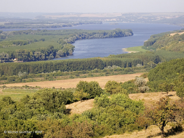 WWF-CEE Statement on the Bala II Project