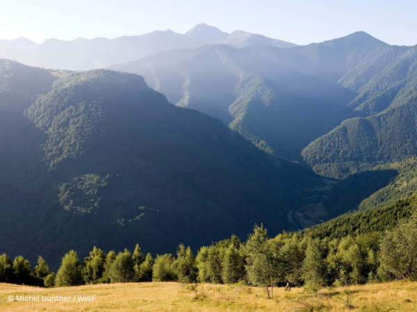 Romania takes a major step towards the EU’s 10% strict-protection target