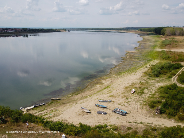 Over half of surveyed businesses in Central and Eastern Europe already hit by water-related impacts, WWF finds