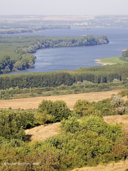 WWF-CEE Statement on the Bala II Project