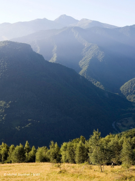Romania takes a major step towards the EU’s 10% strict-protection target