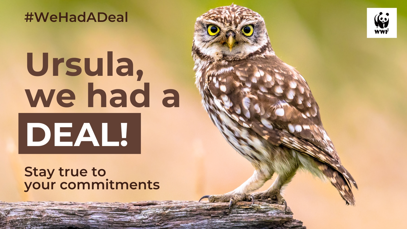 Together with over 180 other civil society organisations, WWF is calling on the incoming European Commission to focus on smart implementation of climate and environmental laws.