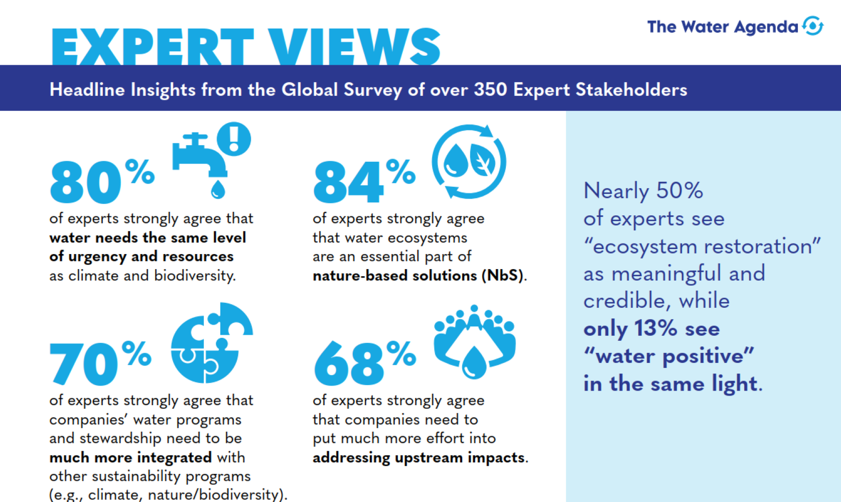 Global expert views on water issues