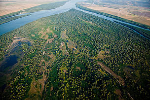 Central and Eastern Europe has most to lose from a business as usual approach.