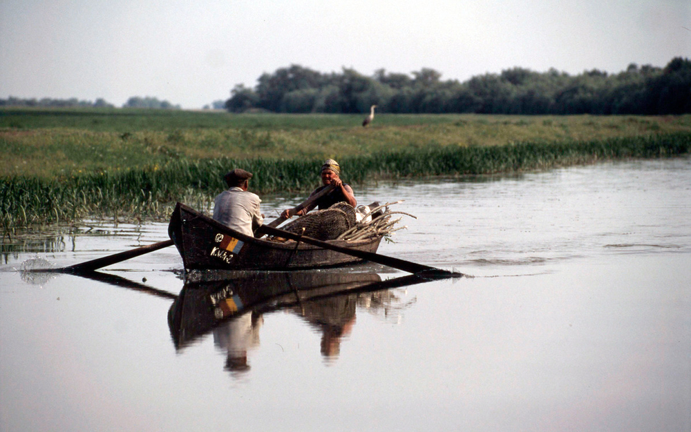 Fishermen on a boat carrying wood. Danube Delta, Romania