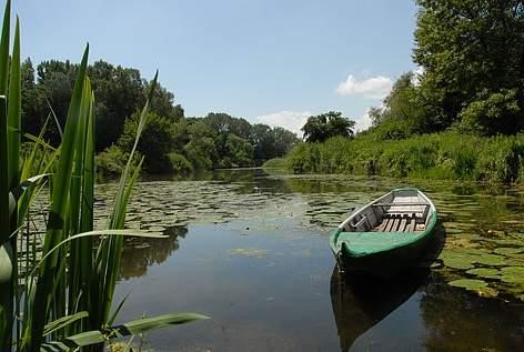 Morava-Dyje floodplains