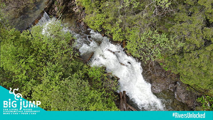 Removal of the barrier will allow the brook trout and endangered Danube salmon to migrate upstream to their spawning areas.